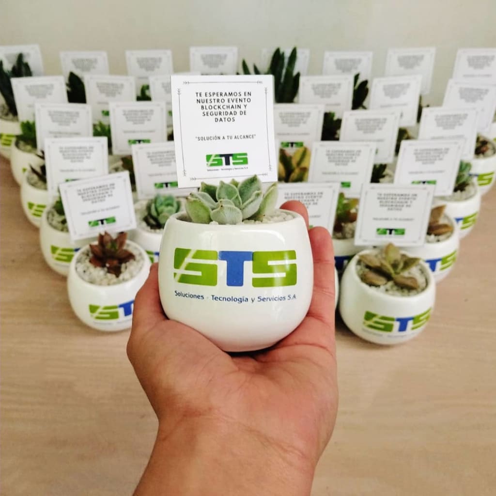Regalos empresariales ecológicos plantas suculentas cerámica con logotipo branding Neea Flora